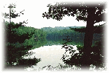 Shostakovitch's serene Trout Pond