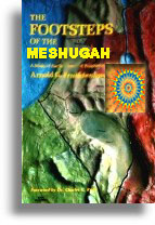 The Footsteps Of The Meshugah